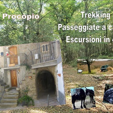 Affitta Camere San Procopio Troina Extérieur photo